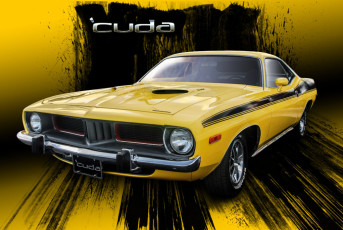 Daves Cuda